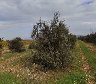  Terrain � vendre 5708 m�