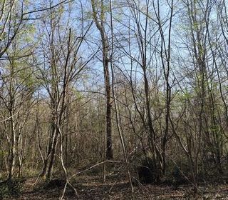  Terrain � vendre 33330 m�