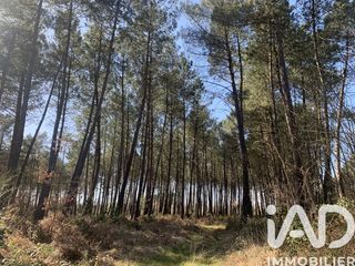  Terrain � vendre 67925 m�