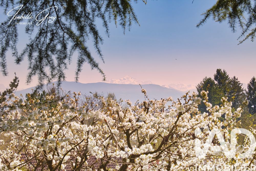 � vendre  Maison Divonne-les-Bains (01220)