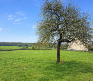  Terrain � vendre 1443 m�