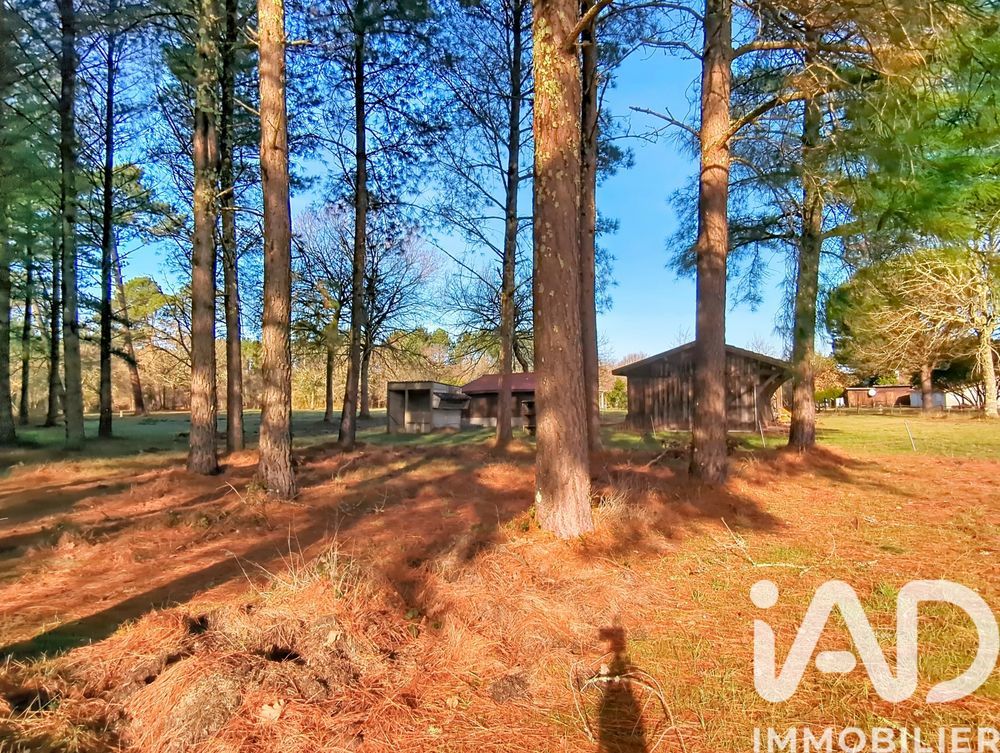 � vendre  Maison Biscarrosse (40600)