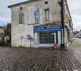  Maison � vendre 8 pi�ces 270 m�