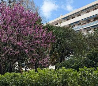  Appartement � vendre 3 pi�ces 54 m�