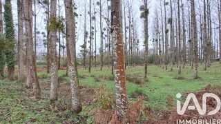  Terrain � vendre 13447 m�