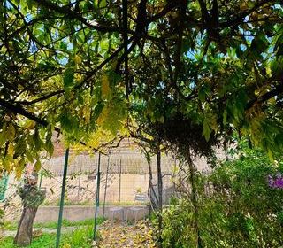  Appartement � vendre 3 pi�ces 79 m�