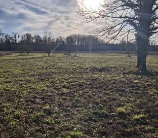  Terrain � vendre 10024 m�