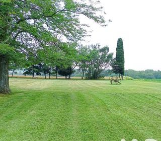  Maison � vendre 5 pi�ces 500 m�