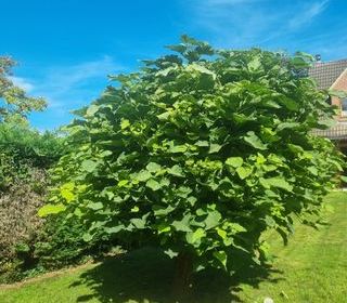  Maison � vendre 7 pi�ces 140 m�