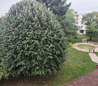  Appartement � vendre 3 pi�ces 56 m�