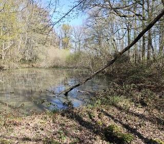  Terrain � vendre 6725 m�