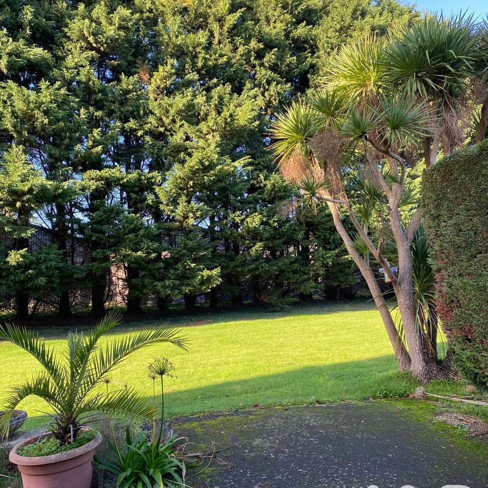 � vendre  Maison Paimpol (22500)