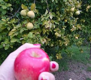  Terrain � vendre 681 m�