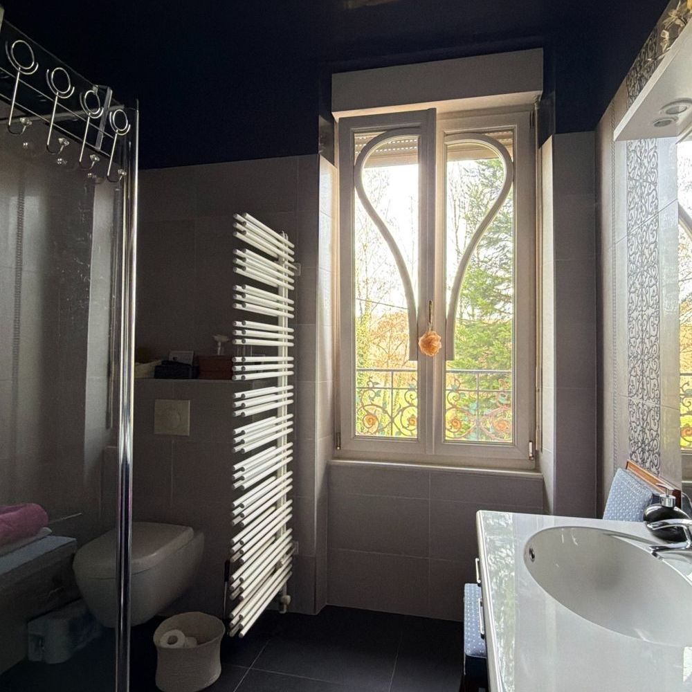 � vendre  Propri�t�/ch�teau Joinville (52300)