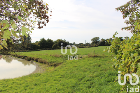   Vente Maison/villa 5 pi�ces Maison - 5 pi�ce(s) - 111 m�