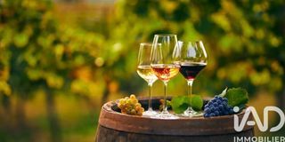  Maison � vendre 12 pi�ces 270 m�