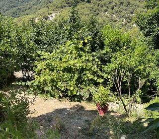  Terrain � vendre 1516 m�