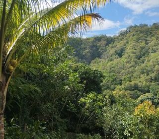  Terrain � vendre 1100 m�