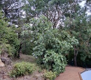  Maison � vendre 6 pi�ces 130 m�