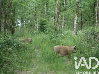  Terrain � vendre 200000 m�