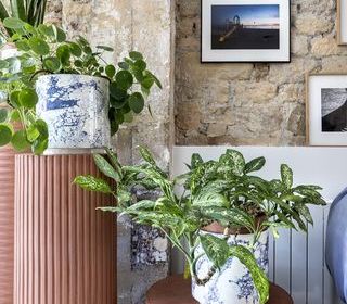  Appartement � vendre 3 pi�ces 70 m�