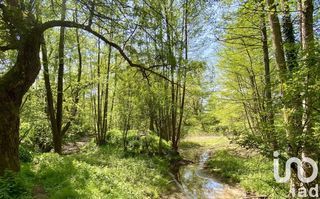  Maison � vendre 14 pi�ces 350 m�