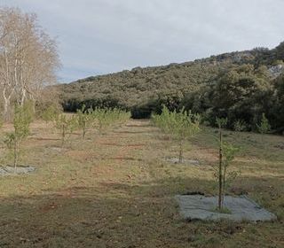  Terrain � vendre 6460 m�