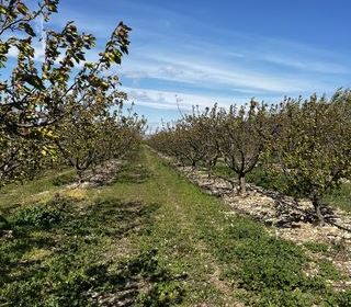  Terrain � vendre 103160 m�