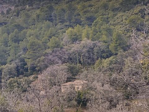   Vente Maison/villa 5 pi�ces Maison - 5 pi�ce(s) - 100 m�