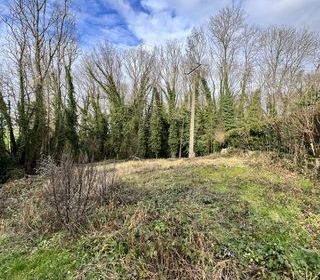  Terrain � vendre 557 m�