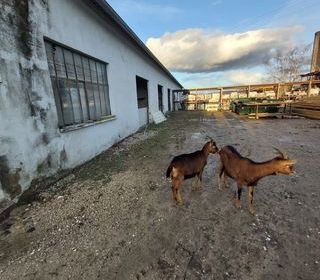  Terrain � vendre 2500 m�