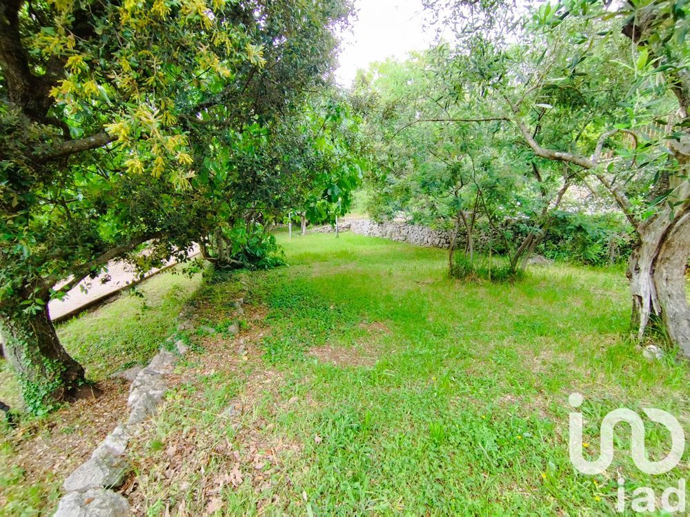 � vendre  Maison Saint-C�zaire-sur-Siagne (06530)