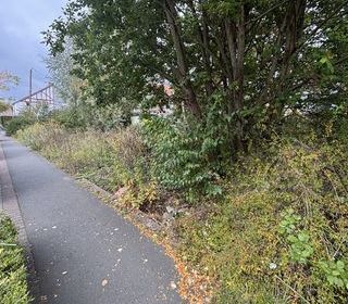  Terrain � vendre 303 m�