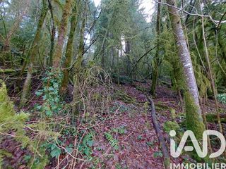  Terrain � vendre 6262 m�