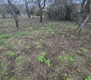  Terrain � vendre 585 m�