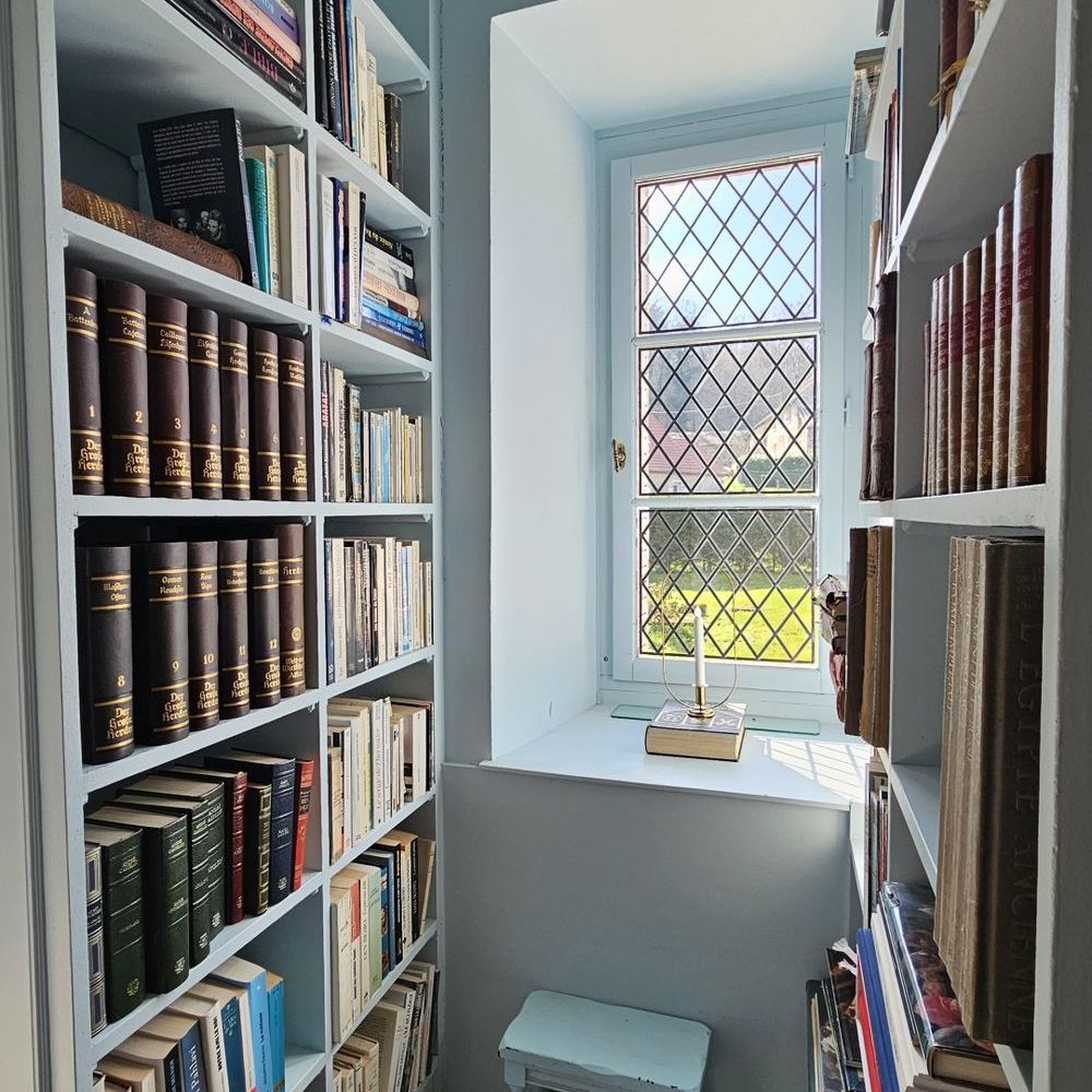 � vendre  Propri�t�/ch�teau Vi�vy (21230)