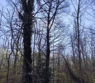  Terrain � vendre 33330 m�