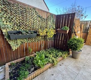  Appartement � vendre 2 pi�ces 42 m�