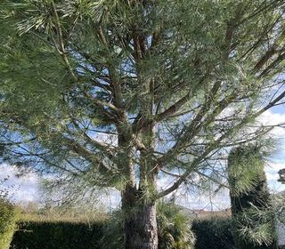  Maison � vendre 4 pi�ces 94 m�