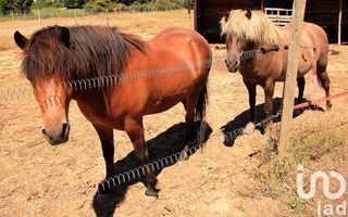  Maison � vendre 15 + pi�ces 370 m�