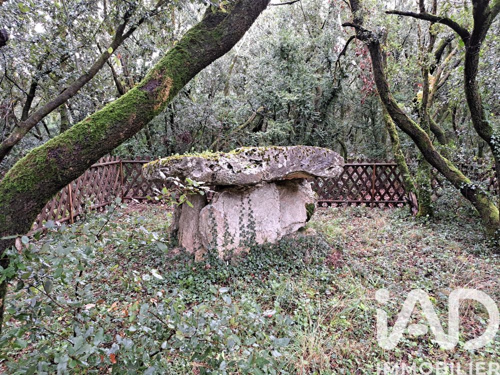 � vendre  Maison Saint-Rem�ze (07700)