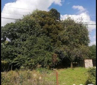  Terrain � vendre 5430 m�