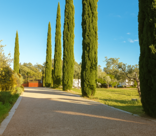  Maison � vendre 7 pi�ces 300 m�