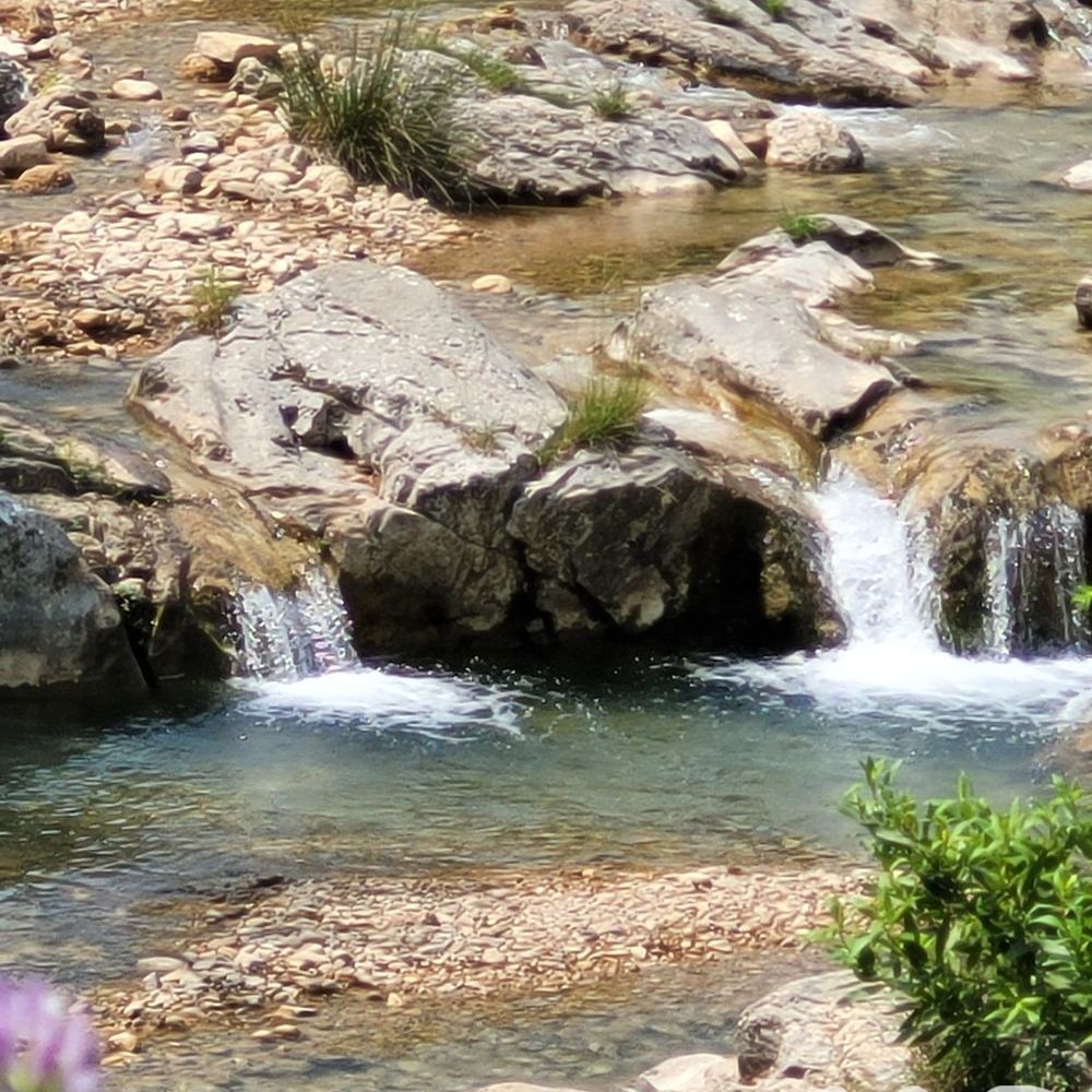 � vendre  Maison Flayosc (83780)