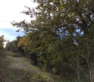  Terrain � vendre 7825 m�