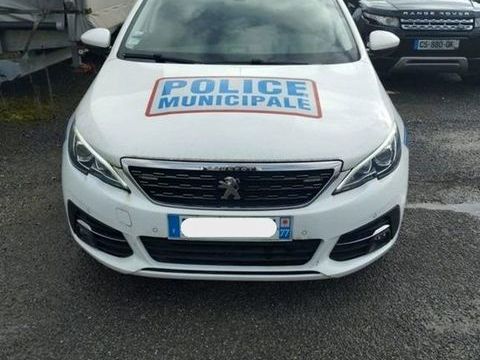 Peugeot 308 VF3LRHNYHHS292299 2017 occasion Mont&eacute;vrain 93100