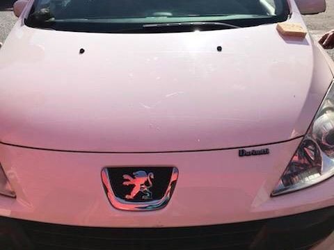 Peugeot 307 VF33CNFUL84754354 2006 occasion Villeneuve-La-Garenne 93100