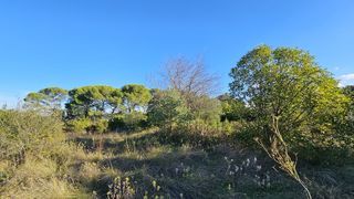  Terrain � vendre 896 m�