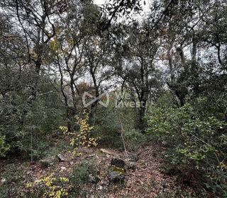  Terrain � vendre 33565 m�