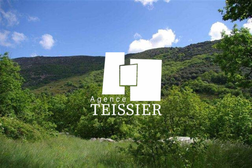 � vendre  Propri�t�/ch�teau Malarce-sur-la-Thines (07140)